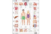 Puzzle - Larsen Puzzles Puzzle Nasze ciało - 35 elementów, Maxi (36.5x28.5 - OB1