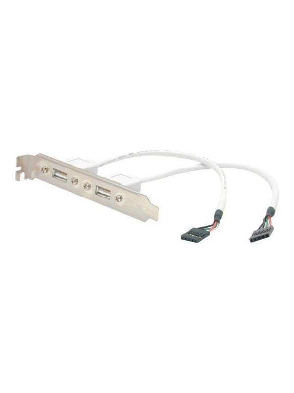 Фото - Кабель Startech.com 2 Port USB A Female Low Pro Sølv USBPLATELP 