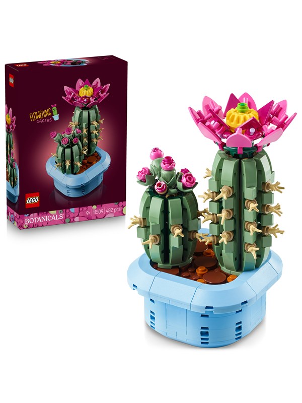 LEGO Botanicals 11509 Kwitnący kaktus