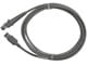 Akcesoria do drukarek - Datalogic 90A052065 Cable USB Type A Enhanced Straight Power Off Terminal 2M (USB Certified) - 90A052065