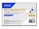 Papier, papier fotograficzny i etykiety - Epson BOPP - continuous labels - 4 roll(s) - Roll (20.3 cm x 68 m) - C33S045736