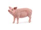 Schleich - Schleich Pig - 13933
