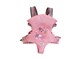 Lalki i akcesoria - Baby Born Baby Carrier - 832462
