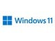 Win11PROOEM-ESD
