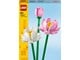 LEGO® - LEGO Flowers 40647 Kwiaty lotosu - 40647
