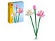 LEGO®  - LEGO Botanicals 40647 Kwiaty lotosu - 40647