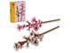 LEGO®  - LEGO Botanicals 40725 Kwiaty wiśni - 40725