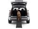 Psy - 4Pets Pro line easy step - T6801