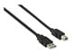 CCGB60100BK20