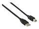 CCGB60100BK50
