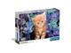 35585