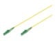 DK-2933-01-APC-SX