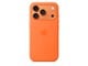 Telefon - Pokrowiec i etui - Apple iPhone 17 Pro Silicone Case with MagSafe – Orange - MGFE4ZM/A