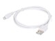 CC-USB2-AMLM-W-1M