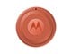 Telefon - Inne akcesoria - Motorola moto tag 2 - PANTONE Arabesque (1x) - PG38C08027