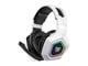 B100 White