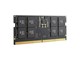 TED532G5600C46A-S01