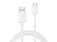 AA01 PVC2.0M