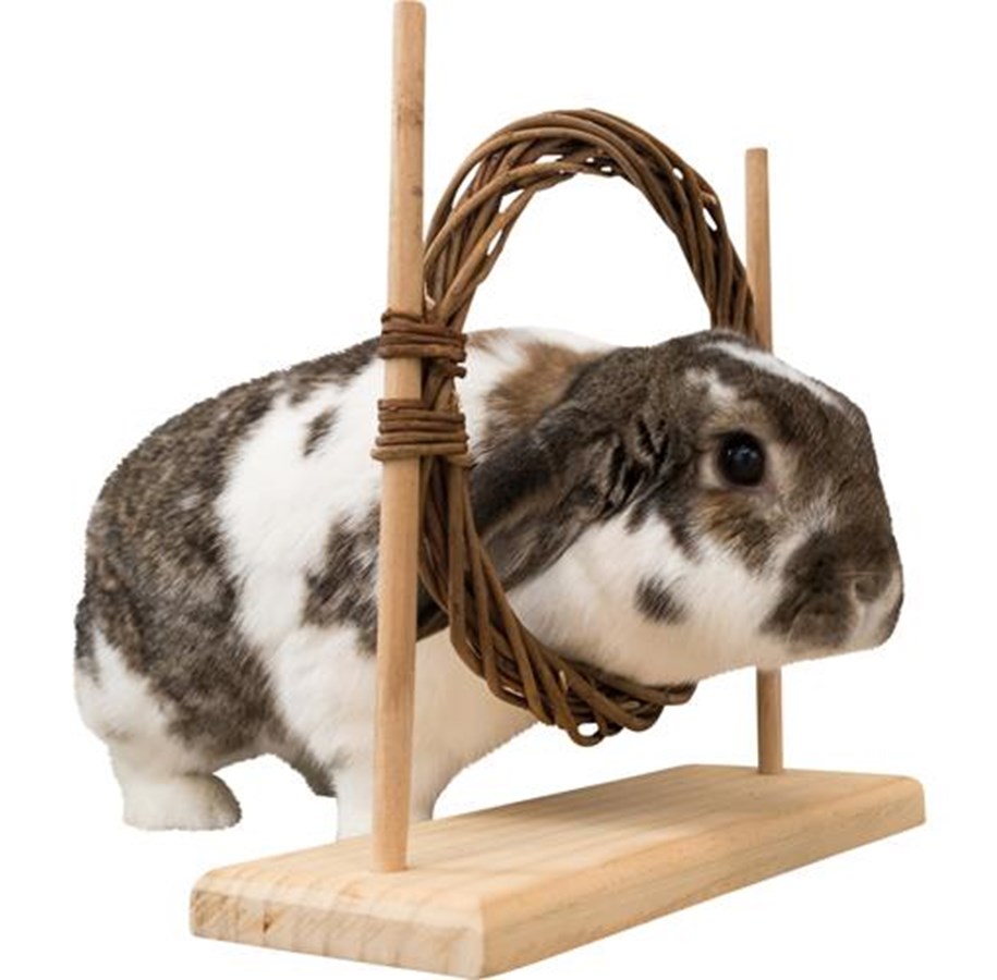 Gryzonie - Trixie Zestaw Agility dla Małych Zwierząt z Obręczą i Przeszkodą dla Szczurów Królików Miniaturowych 28x26x11cm - TX61910