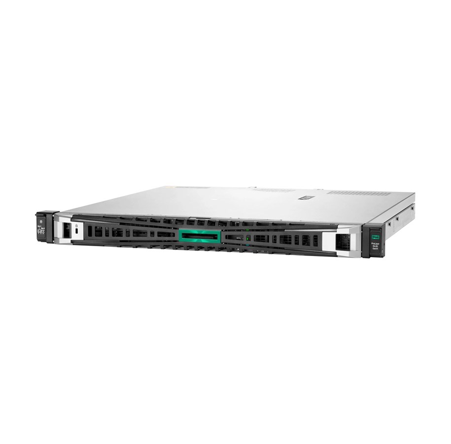 Serwer - Hewlett Packard Enterprise HPE ProLiant DL20 Gen11 - P65391-B21