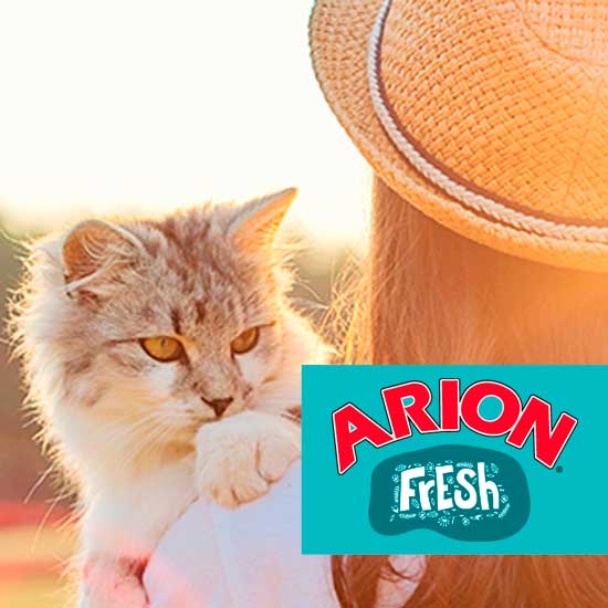 Arion Fresh kot