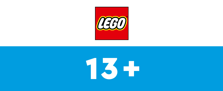 Banner - Lego 13 +