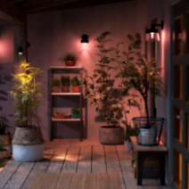 Philips Hue Light Source